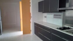 St. Regis Residences (D10), Apartment #456621341